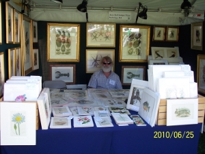 A photo of Mark Brady of Anne Hall Antique Prints at a show in Newport Flower Show RI.  With a beautiful display of antique lithographs & engravings.
